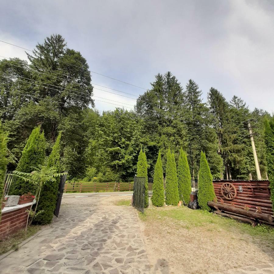 Hotel Popas Balea Rau Cîrţişoara Exterior foto